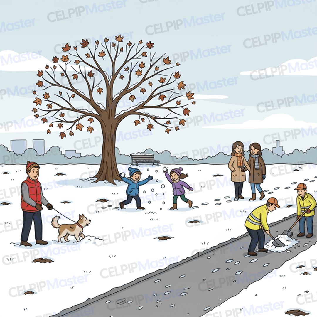 口语3&4 - 公园里的冬日